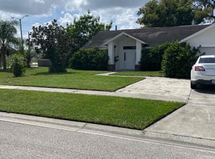 Erin E.'s grass maintenance service result