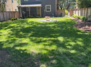 William B.'s yard work service result