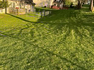 Tyler B.'s lawn maintenance service result