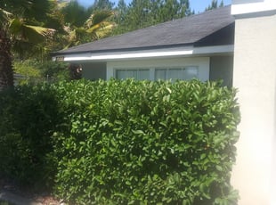 Amanda W.'s Bush Trimming service result