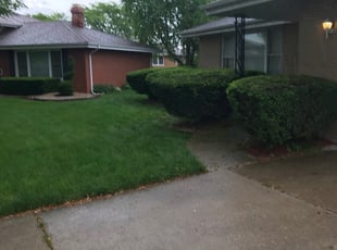 Sheri C.'s Bush Trimming service result