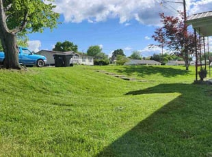 Jasmine L.'s grass maintenance service result