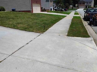 Mike S.'s turf maintenance service result