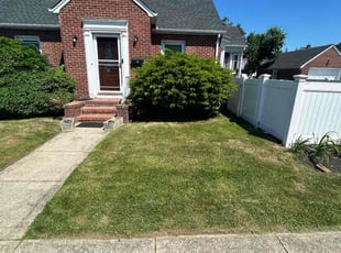 Dinnah D.'s grass maintenance service result