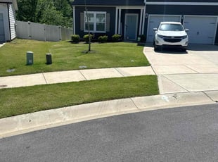 Laury P.'s lawn maintenance service result