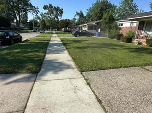 Andrea S.'s turf maintenance service result
