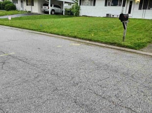 Greg W.'s turf maintenance service result