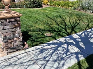 Joanne M.'s lawn maintenance service result