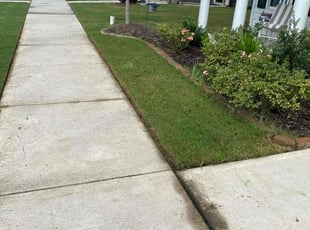 Shavon B.'s lawn maintenance service result