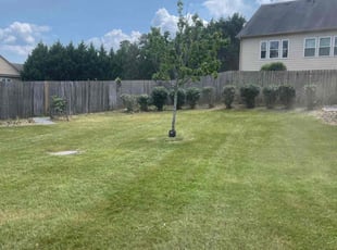 Bethany H.'s grass maintenance service result
