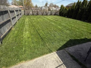 Sarah D.'s lawn maintenance service result
