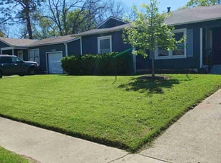 Mary H.'s grass cutting service result