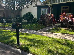 Terri W.'s Leaf Removal service result