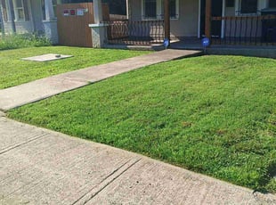 Casey J.'s turf care service result