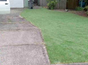 Jackie B.'s Leaf Removal service result