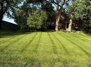 Carleen C.'s turf maintenance service result