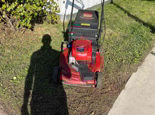 Beverly H.'s turf care service result