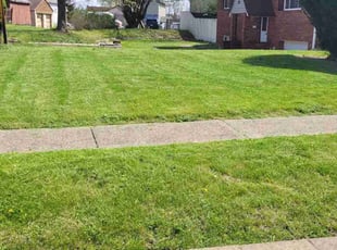 Zach T.'s grass maintenance service result