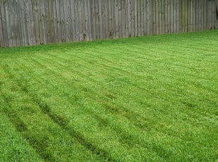 Rebecca G.'s lawn service service result