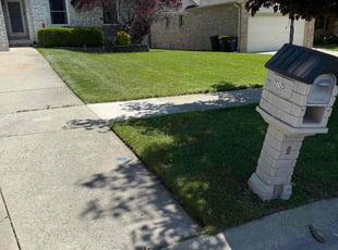 John D.'s lawn care service result