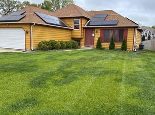 Shauna G.'s turf care service result