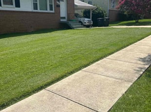 Steve T.'s lawn maintenance service result