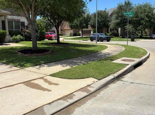 Marcy E.'s lawn care services service result