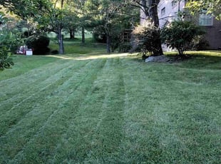 Sam H.'s turf maintenance service result