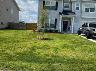 Julio O.'s turf care service result