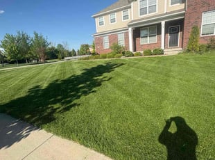 Sarah G.'s turf maintenance service result