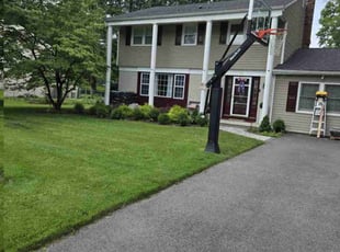 Denise H.'s turf care service result