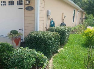 Wesley H.'s Bush Trimming service result