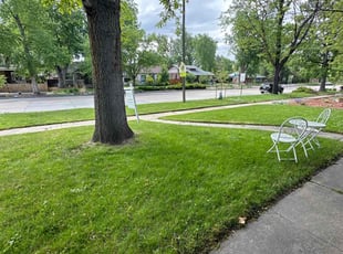 Phyllis G.'s turf maintenance service result