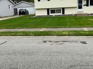 Shavon G.'s lawn care service result