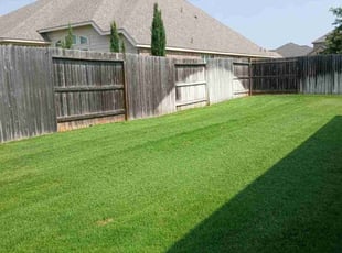 Melissa C.'s gardening service service result