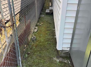 Channika D.'s grass maintenance service result