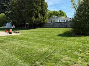 Sybil K.'s grass cutting service result