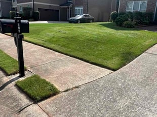 Steve W.'s lawn care services service result