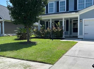 Randall C.'s turf care service result