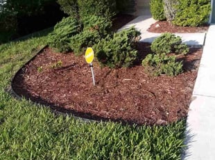 Dave M.'s Flower Bed Weeding service result