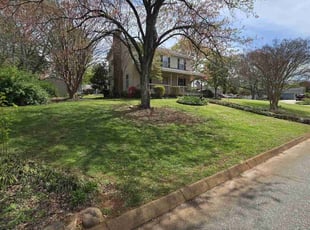 Penney H.'s grass maintenance service result