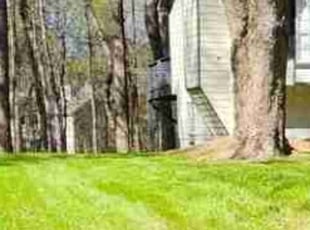 Mary B.'s lawn care service result