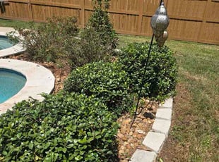 Kaland F.'s Bush Trimming service result