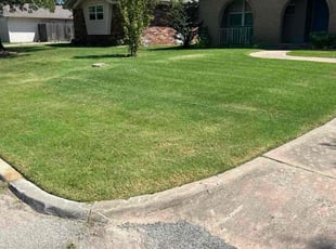 Melvin H.'s lawn service service result