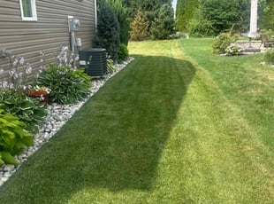 Stephanie W.'s lawn service service result