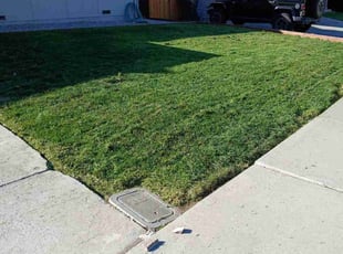 Emanuel S.'s lawn maintenance service result