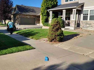 Kim K.'s grass maintenance service result