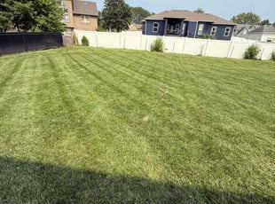 Thomas D.'s turf care service result