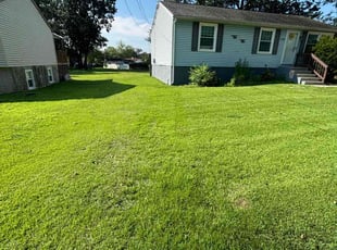 Patrick M.'s lawn service service result