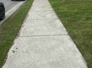 Mary D.'s turf care service result